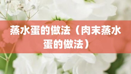 蒸水蛋的做法（肉末蒸水蛋的做法）