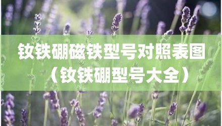 钕铁硼磁铁型号对照表图（钕铁硼型号大全）