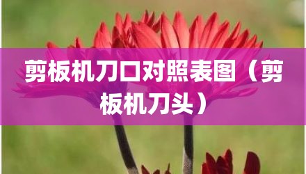剪板机刀口对照表图（剪板机刀头）