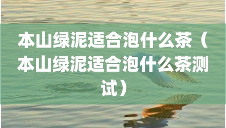 本山绿泥适合泡什么茶（本山绿泥适合泡什么茶测试）