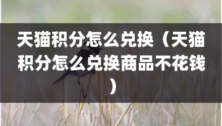 天猫积分怎么兑换（天猫积分怎么兑换商品不花钱）