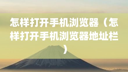怎样打开手机浏览器(怎样打开手机浏览器地址栏)