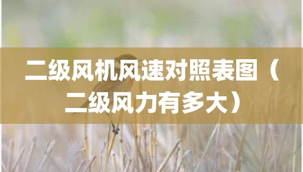 二级风机风速对照表图（二级风力有多大）
