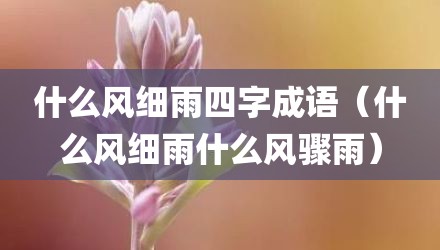 什么风细雨四字成语(什么风细雨什么风骤雨)