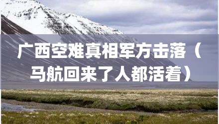 广西空难真相军方击落（马航回来了人都活着）
