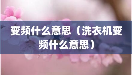 变频什么意思（洗衣机变频什么意思）