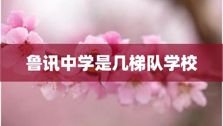 鲁讯中学是几梯队学校