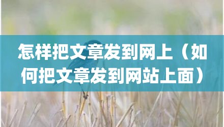 怎样把文章发到网上（如何把文章发到网站上面）