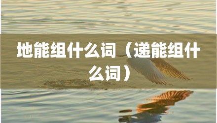 地能组什么词（递能组什么词）