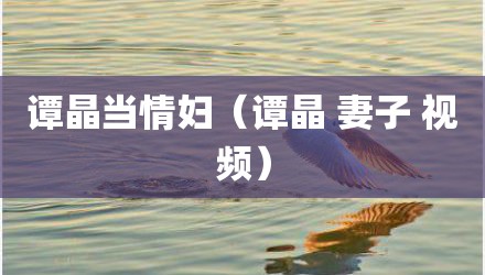 谭晶当情妇（谭晶 妻子 视频）