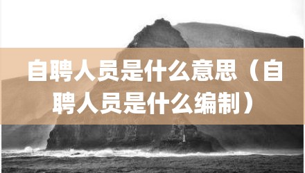 自聘人员是什么意思（自聘人员是什么编制）