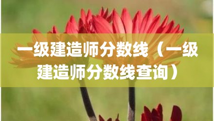 一级建造师分数线（一级建造师分数线查询）
