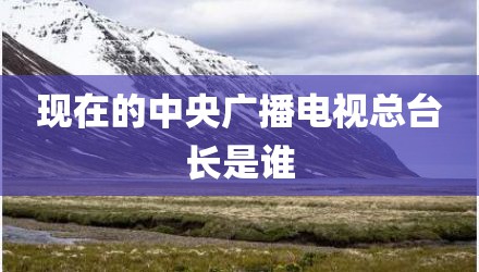 现在的中央广播电视总台长是谁