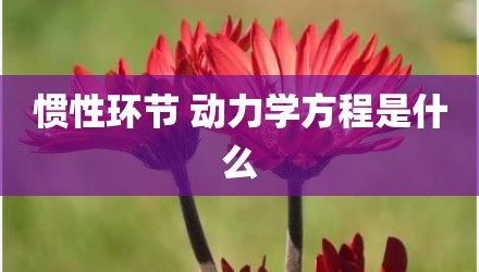 惯性环节 动力学方程是什么