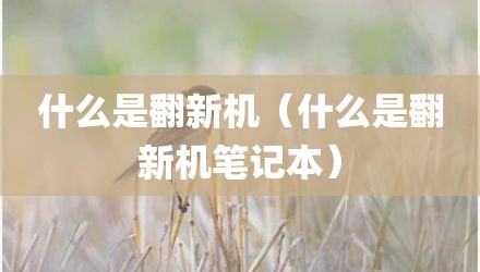 什么是翻新机（什么是翻新机笔记本）