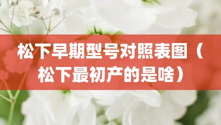松下早期型号对照表图（松下最初产的是啥）