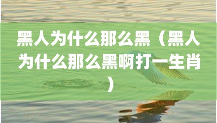 黑人为什么那么黑（黑人为什么那么黑啊打一生肖）