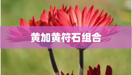 黄加黄符石组合