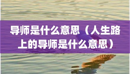 导师是什么意思（人生路上的导师是什么意思）