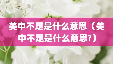 美中不足是什么意思（美中不足是什么意思?）