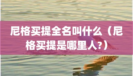 尼格买提全名叫什么（尼格买提是哪里人?）