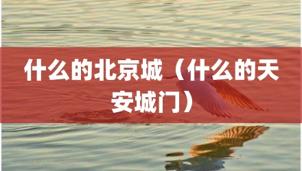 什么的北京城（什么的天安城门）