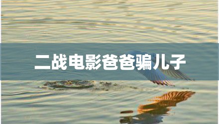 二战电影爸爸骗儿子