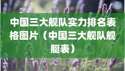 中国三大舰队实力排名表格图片(中国三大舰队舰艇表)