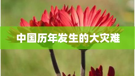中国历年发生的大灾难