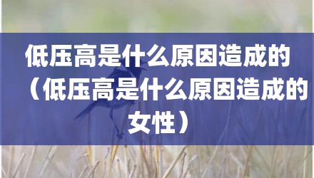 低压高是什么原因造成的（低压高是什么原因造成的女性）