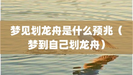 梦见划龙舟是什么预兆（梦到自己划龙舟）
