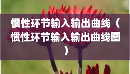 惯性环节输入输出曲线（惯性环节输入输出曲线图）