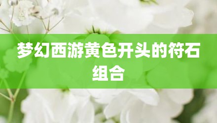 梦幻西游黄色开头的符石组合