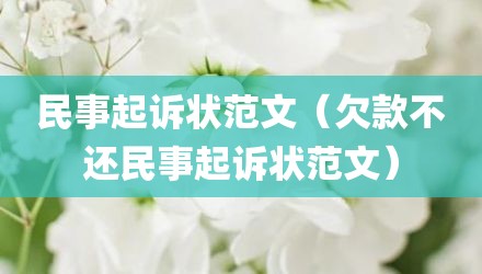 民事起诉状范文（欠款不还民事起诉状范文）
