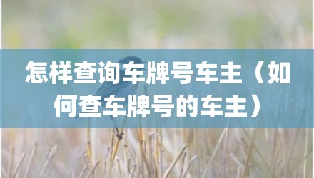 怎样查询车牌号车主（如何查车牌号的车主）