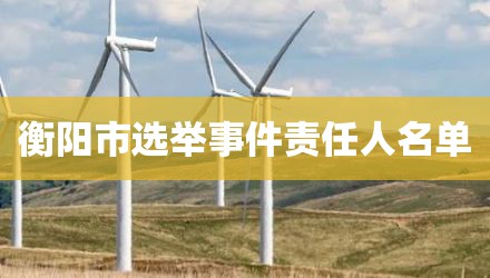 衡阳市选举事件责任人名单