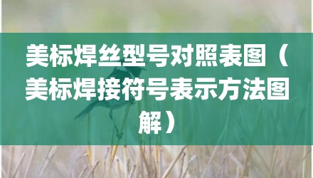 美标焊丝型号对照表图（美标焊接符号表示方法图解）