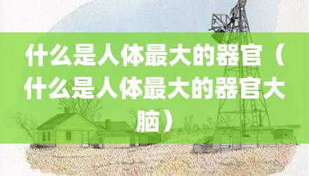 什么是人体最大的器官（什么是人体最大的器官大脑）