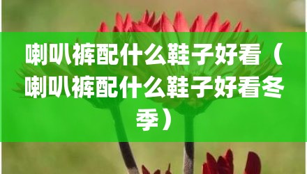 喇叭裤配什么鞋子好看（喇叭裤配什么鞋子好看冬季）