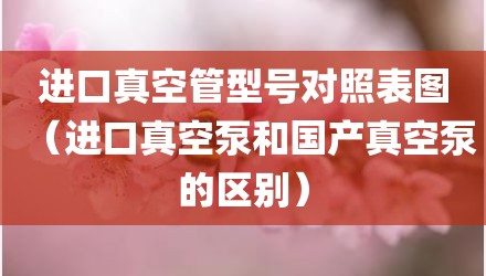 进口真空管型号对照表图（进口真空泵和国产真空泵的区别）