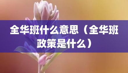 全华班什么意思（全华班政策是什么）