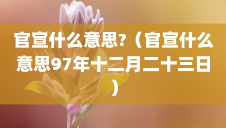 官宣什么意思?(官宣什么意思97年十二月二十三日)