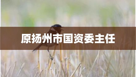 原扬州市国资委主任