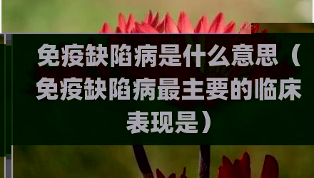 免疫缺陷病是什么意思（免疫缺陷病最主要的临床表现是）