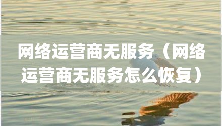 网络运营商无服务（网络运营商无服务怎么恢复）