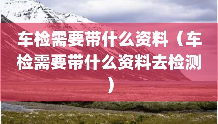 车检需要带什么资料（车检需要带什么资料去检测）