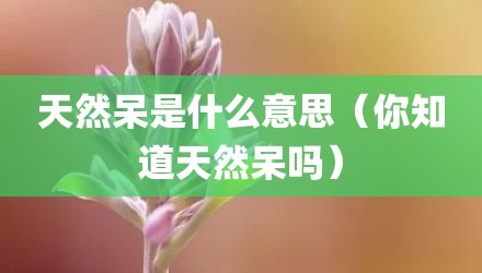 天然呆是什么意思(你知道天然呆吗)