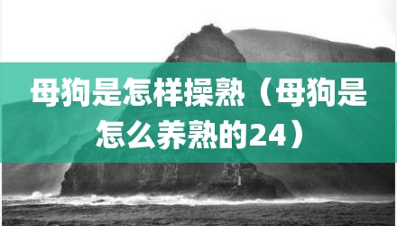 母狗是怎样操熟（母狗是怎么养熟的24）