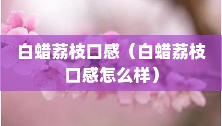 白蜡荔枝口感（白蜡荔枝口感怎么样）