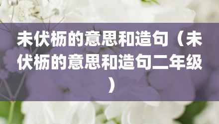 未伏枥的意思和造句（未伏枥的意思和造句二年级）